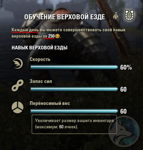 Расширение инвентаря: базовые секреты и тактики