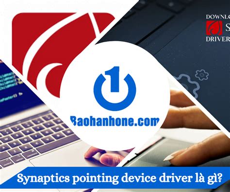 Расшифровка понятия "Synaptics Pointing Device" и его функциональность