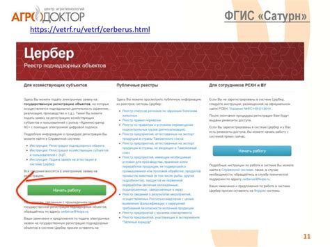 Регистрация в ФГИС Сатурн