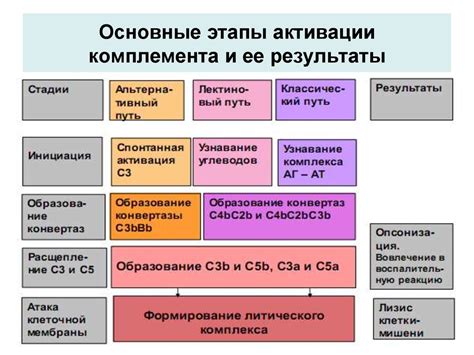 Результаты активации