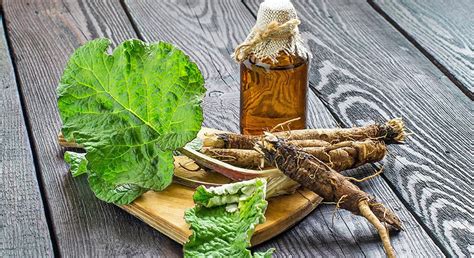 Рецепты использования жмыха лопуха в кулинарии