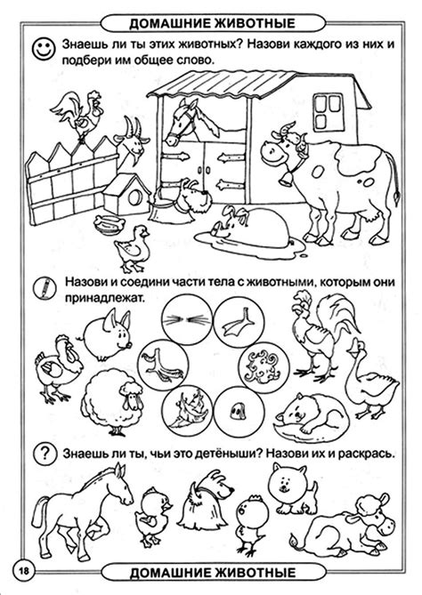 Риск для домашних животных