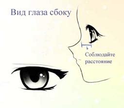 Рисование глаз и ушей