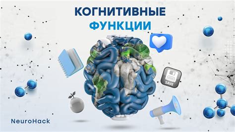 Роль когнитивных способностей в жизни человека