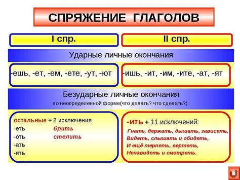 Роль притяжательных глаголов в русском языке