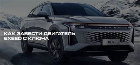 Руководство для владельцев