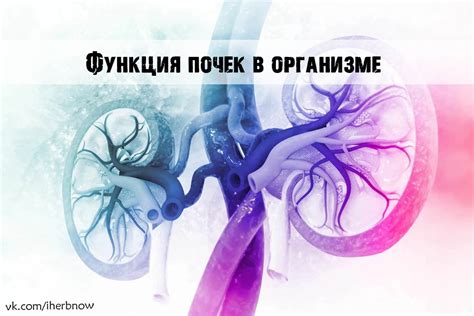Сбой функций почек