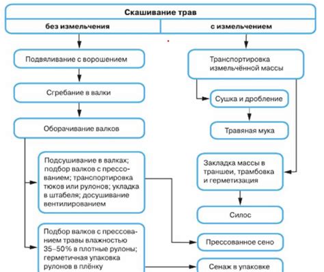 Сбор и подготовка трав и редких ингредиентов