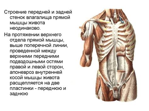 Связывание головы и туловища