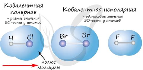 Связь между покойником и конфетами