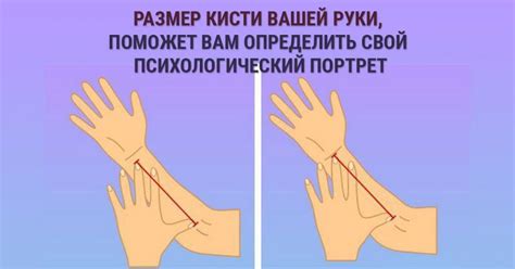 Связь между тонким запястьем у мужчин и уровнем жировой массы