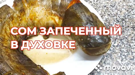 Секреты чистки сома от слизи - улучшенные методы