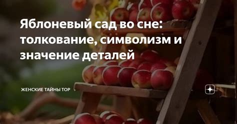 Символизм красного плаща во сне