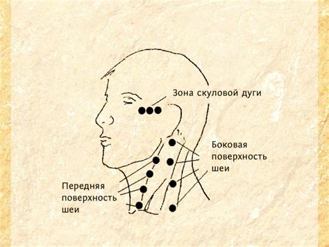 Символическое значение сна о целовании в шею девушку
