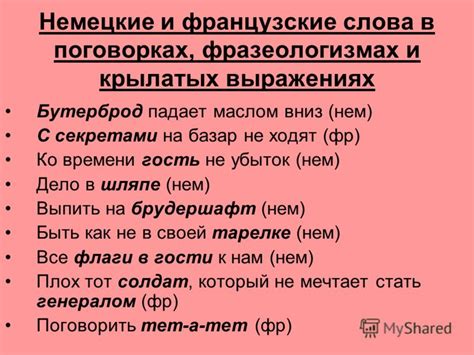 Синица на голове: в поговорках и выражениях