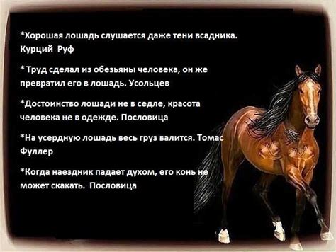 Смысл и значение фразы "доезжал он до росстани"