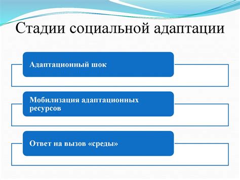 Сновидение 2: Социальная адаптация и власть