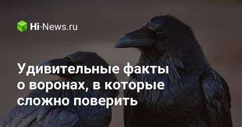 Сновидения о воронах