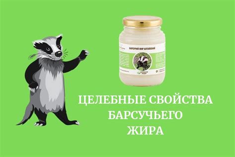 Состав собачьего жира и барсучьего жира