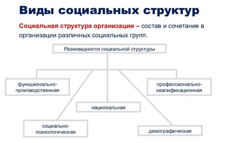 Социальная структура и организация