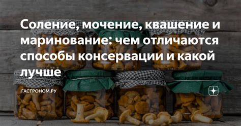 Способы консервации сморчков