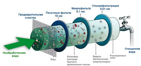 Способы очистки и хранения пеногенератора Штиль