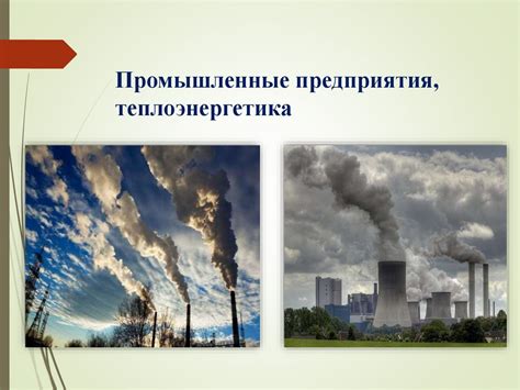 Способы предотвращения перебегания кошками дороги