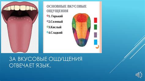 Способы улучшения вкусовых ощущений после приема клацида