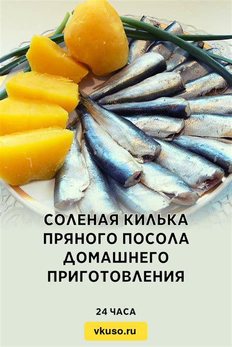 Способы хранения соленой кильки