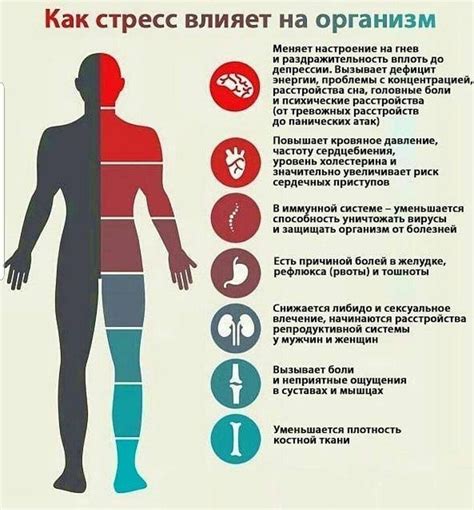 Стрессовые ситуации и перегруженность аквариумом