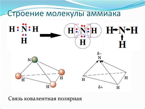 Схожесть молекул серы и аммиака