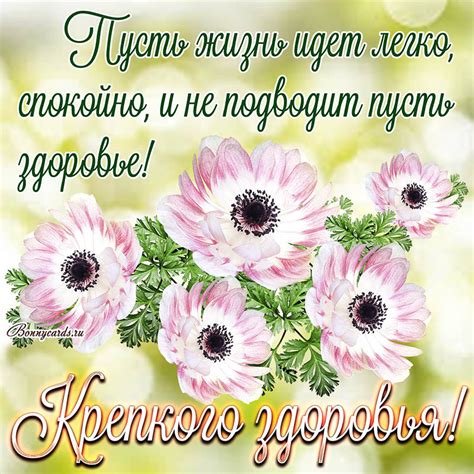 С пожеланием крепкого здоровья