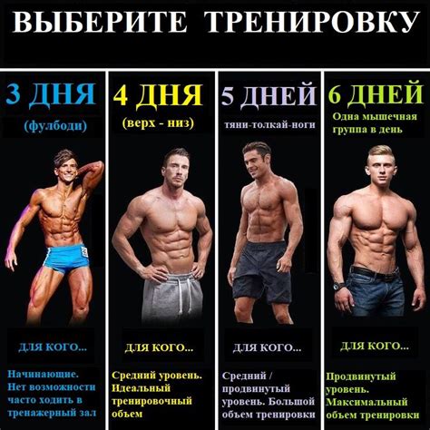 Тренировки для повышения мышечной массы у овчарки