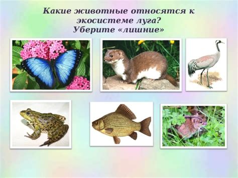 Уберите лишние элементы