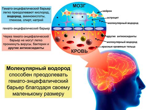Умиротворяющее воздействие на нервную систему