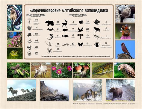 Уникальная фауна и флора