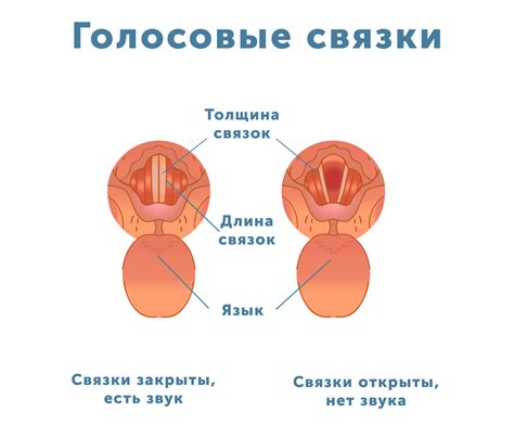 Упражнения для развития голосовых связок Бабы-Яги