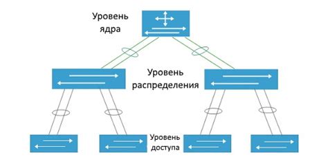 Уровень доступа и привилегии