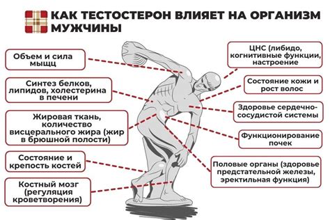Уровень тестостерона