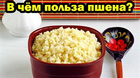 Условия для сохранения полезных свойств пшена