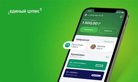 Установка Цупис на iPhone: настройка безопасности