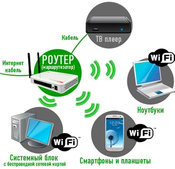 Установка и настройка Wi-Fi в руме Амазоне на 24 метра