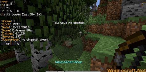 Установка Labymod 1.16.5
