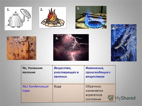 Физические изменения, происходящие с телом шпица во время течки