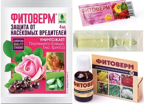 Фитоверм форте vs фитоверм