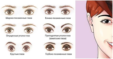 Форма и размер глаз