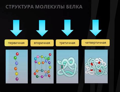 Химический состав и структура молекул