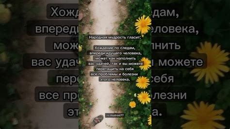 Ходить по следам