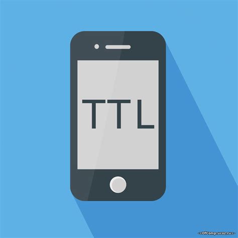 Что такое TTL и как узнать его на iPhone