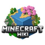Шаги для установки Minecraft с конфликтом пакета